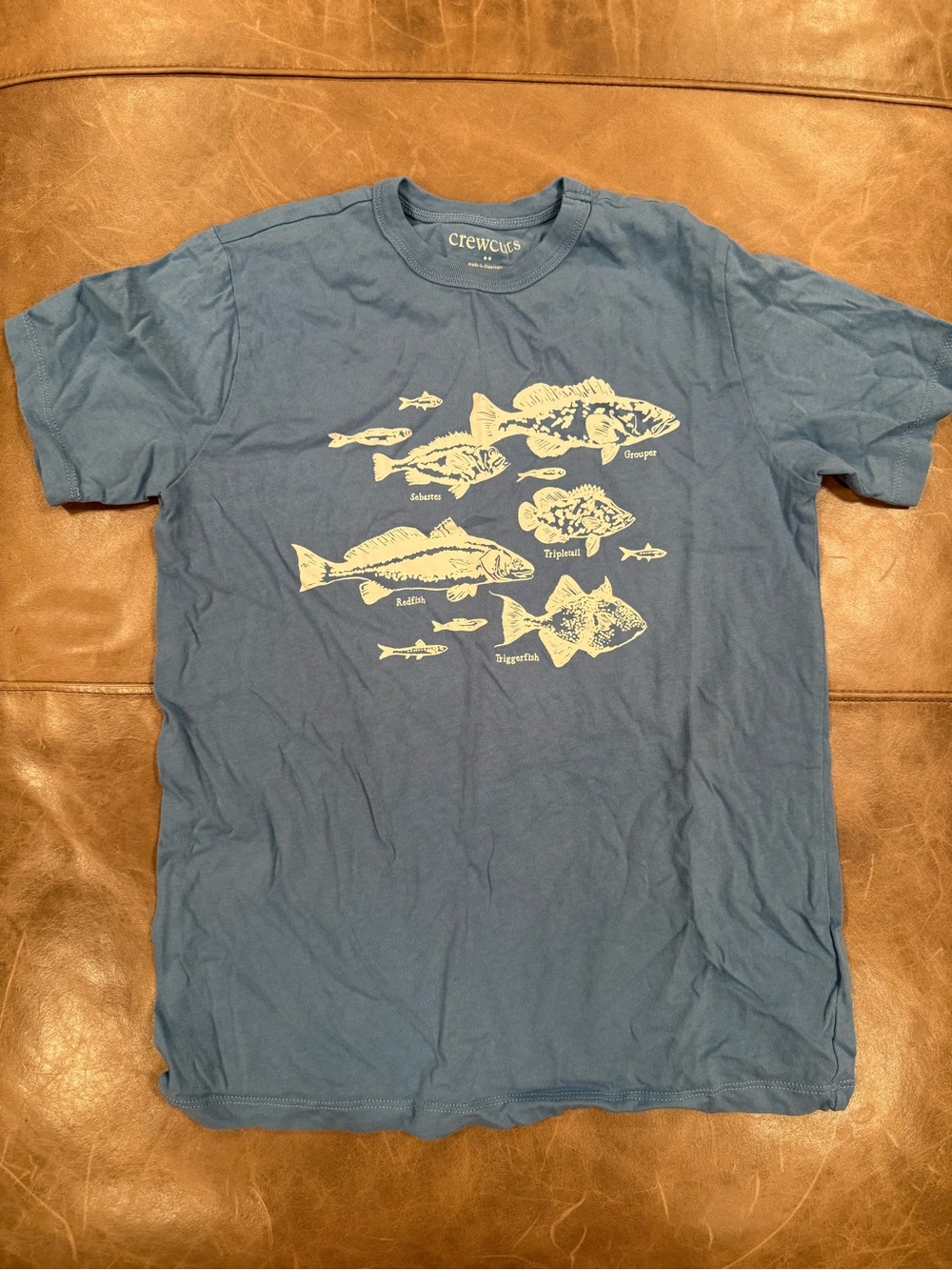 J.Crew Crewcuts Boys Fish Graphic T-Shirt Blue Fishing Coastal – L 10/11
